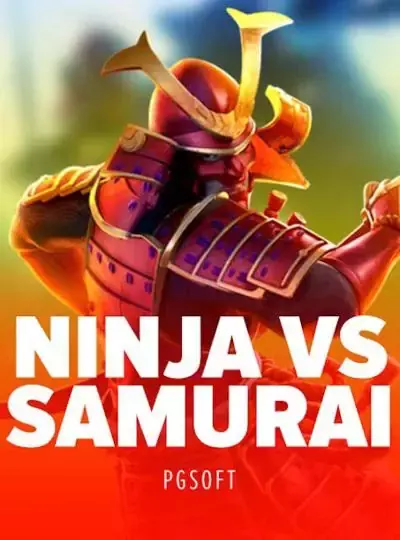 Ninja Vs Samurai